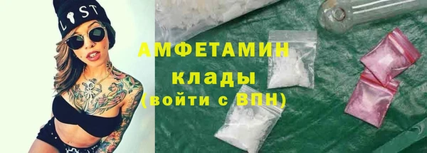 стаф Нея
