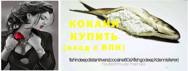 стаф Нея