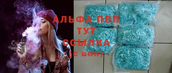стаф Нея