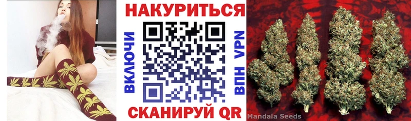 Бошки марихуана гибрид  где продают   Курильск 